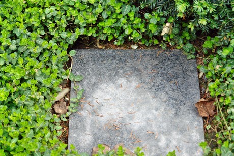 ostfriedhof