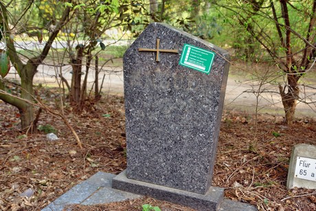 ostfriedhof