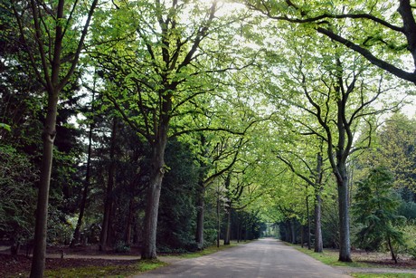 ostfriedhof