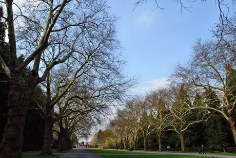 ostfriedhof