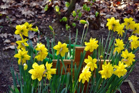 ostfriedhof