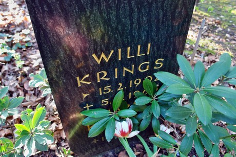 ostfriedhof