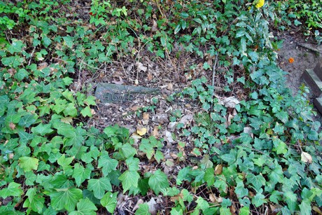 ostfriedhof