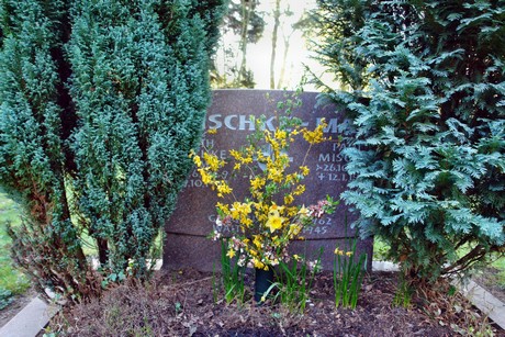 ostfriedhof