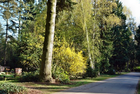 ostfriedhof