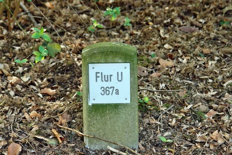 ostfriedhof
