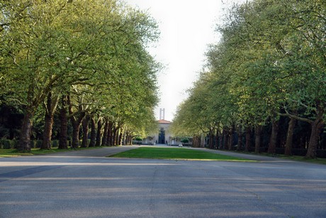 westfriedhof
