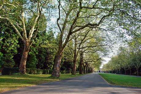westfriedhof