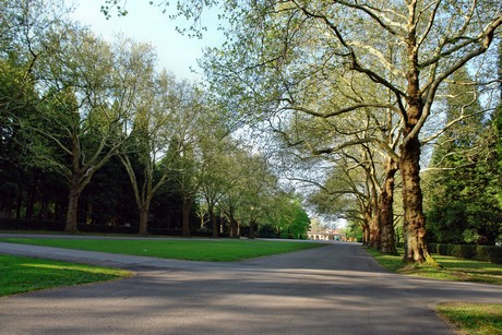 westfriedhof