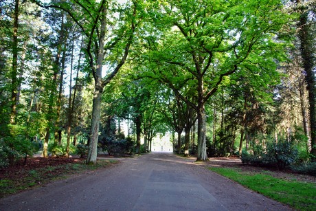 westfriedhof