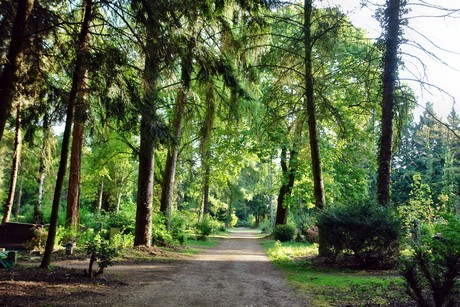 westfriedhof