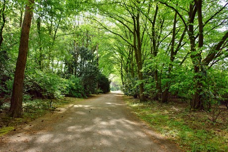 westfriedhof
