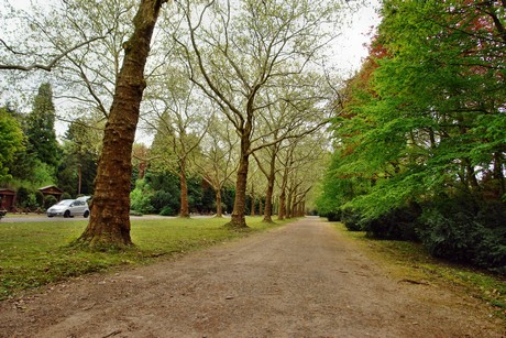 westfriedhof