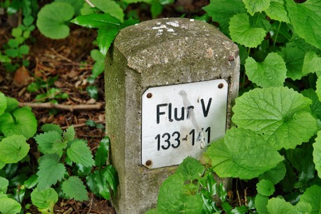 westfriedhof
