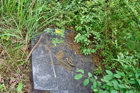 westfriedhof