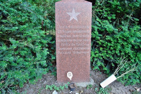 friedhof
