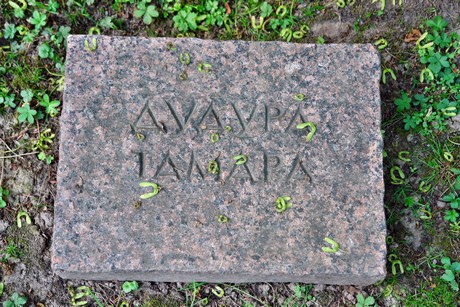 friedhof