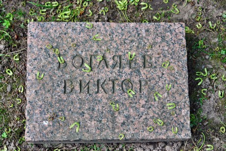 friedhof