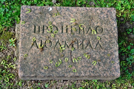 friedhof