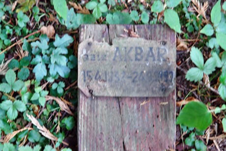 westfriedhof