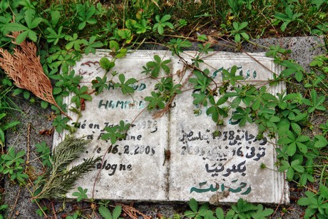 westfriedhof