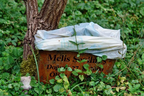 westfriedhof