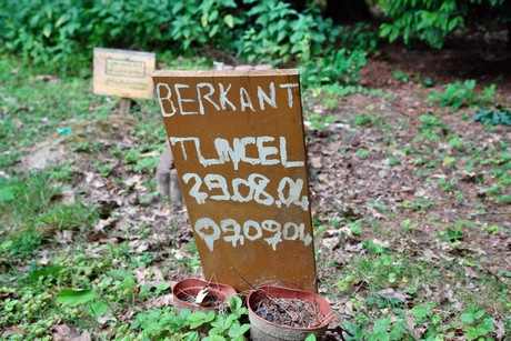 westfriedhof