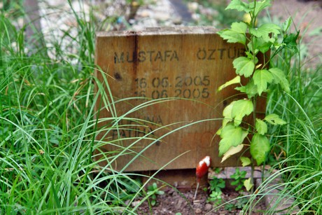 westfriedhof