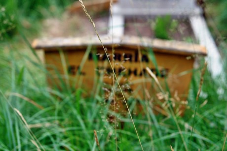 westfriedhof