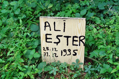westfriedhof