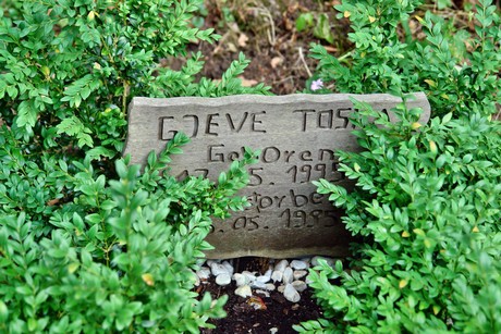 westfriedhof