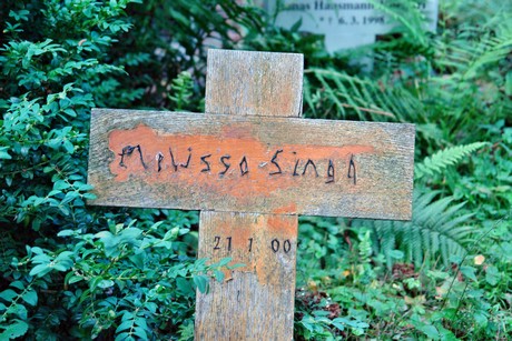 friedhof