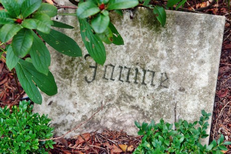 friedhof