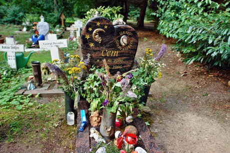friedhof
