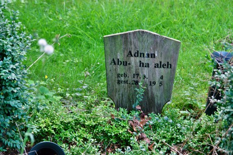 friedhof