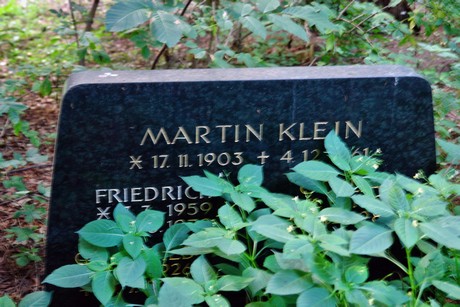 friedhof