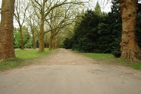 westfriedhof