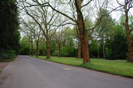 westfriedhof