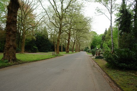 westfriedhof