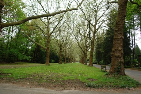 westfriedhof