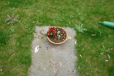 westfriedhof