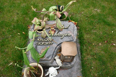 westfriedhof