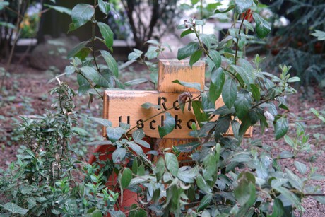 westfriedhof