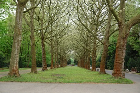 westfriedhof