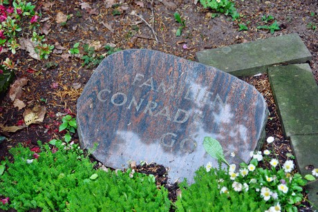 friedhof