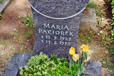 friedhof