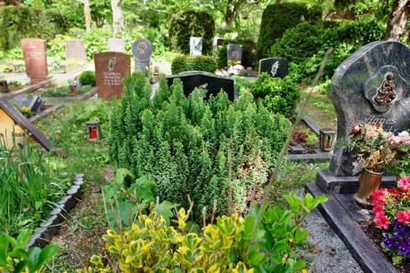 friedhof
