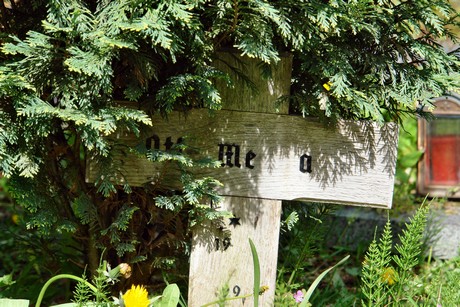 friedhof