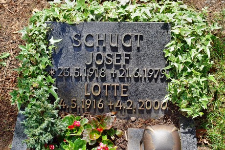 friedhof