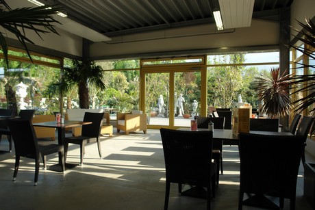 cafe-safari